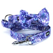 VIOLET PRISM Collier pour chien