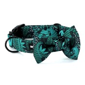 GREEN ESCAPE collier chien vert