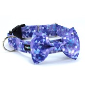 VIOLET PRISM Collier pour chien