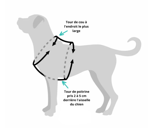 Harnais en Y FINNERO pour chien (destockage)